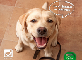 Hola Instagram! Un nuevo perfil de Dog Chow